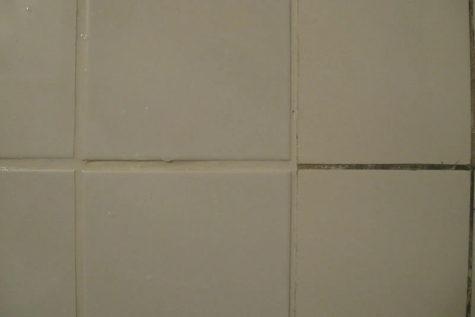 Close-up of white wall tiles where a white and a gray grout meet, the color difference clearly visible in the joints
