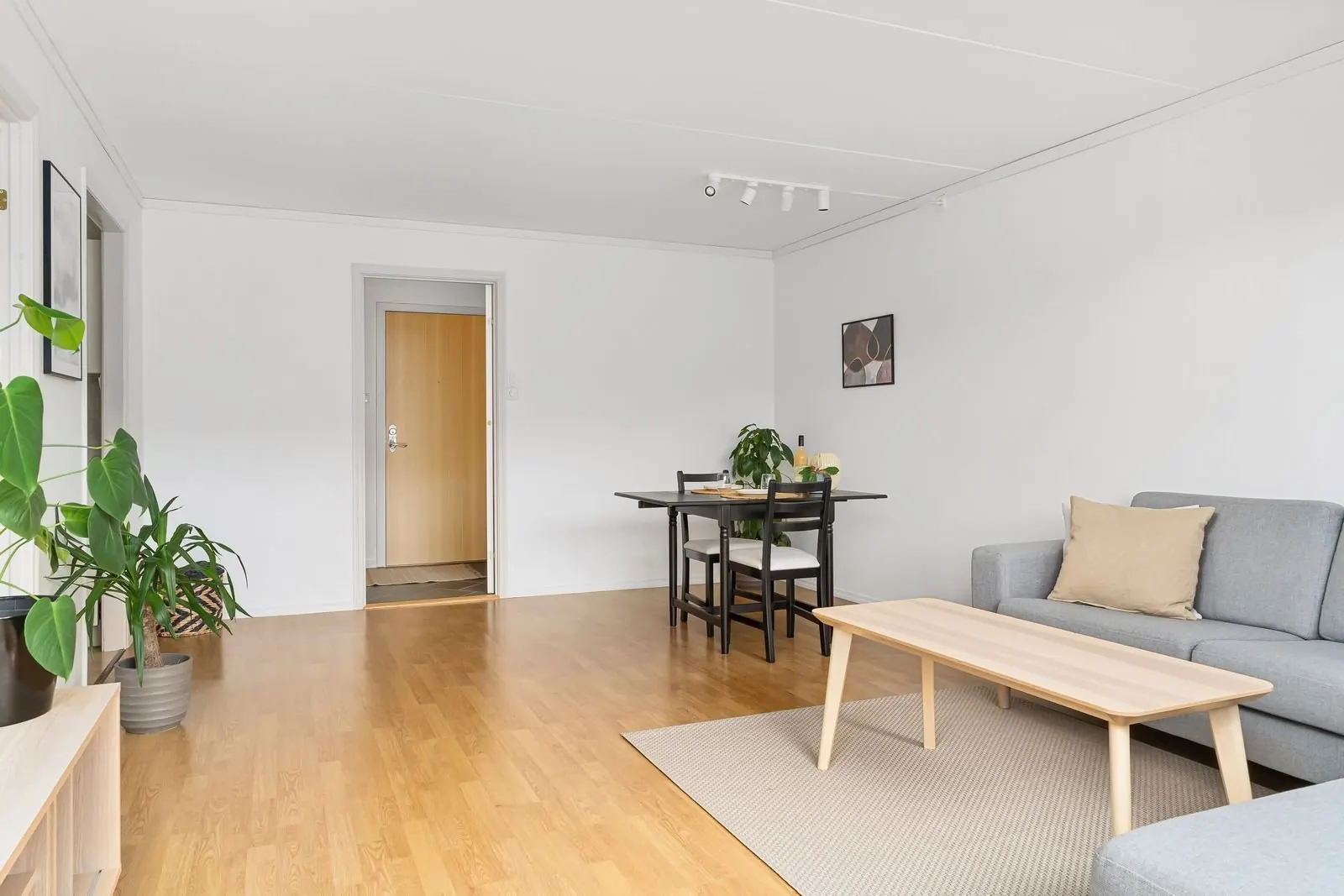 Bright living room with a light wood floor, grey sofa, coffee table and a dining corner, wide view